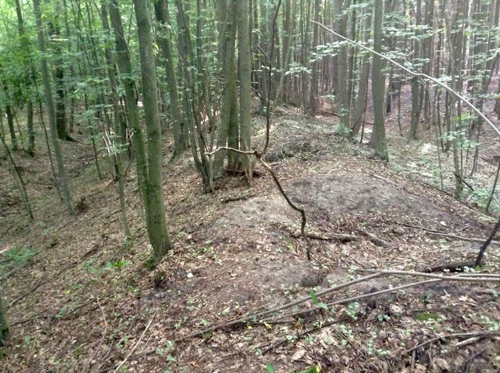 Геологічна пам’ятка природи Змієві вали